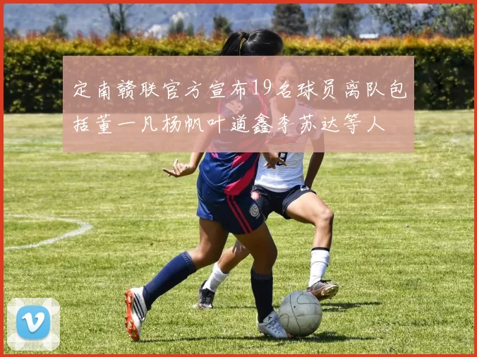 定南赣联官方宣布19名球员离队包括董一凡杨帆叶道鑫李苏达等人